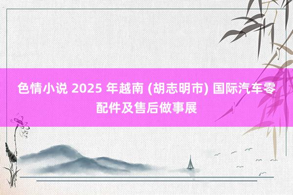 色情小说 2025 年越南 (胡志明市) 国际汽车零配件及售后做事展