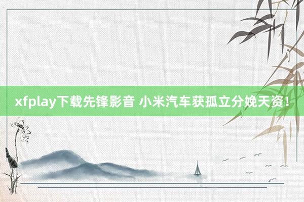 xfplay下载先锋影音 小米汽车获孤立分娩天资！