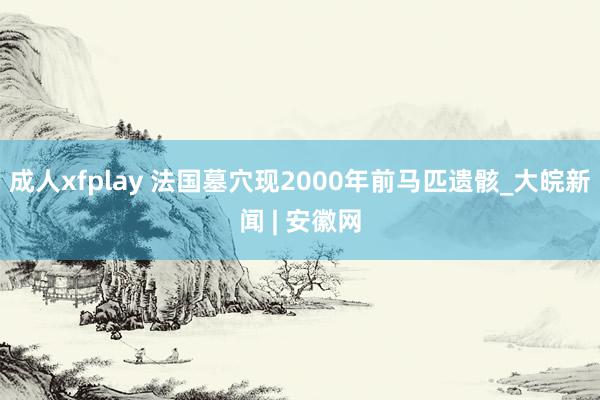 成人xfplay 法国墓穴现2000年前马匹遗骸_大皖新闻 | 安徽网