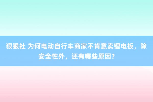 狠狠社 为何电动自行车商家不肯意卖锂电板，除安全性外，还有哪些原因？