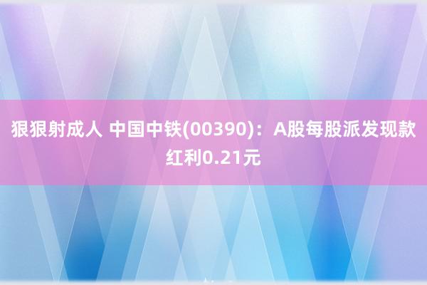 狠狠射成人 中国中铁(00390)：A股每股派发现款红利0.21元