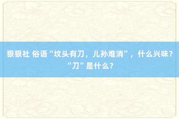 狠狠社 俗语“坟头有刀，儿孙难消”，什么兴味？“刀”是什么？