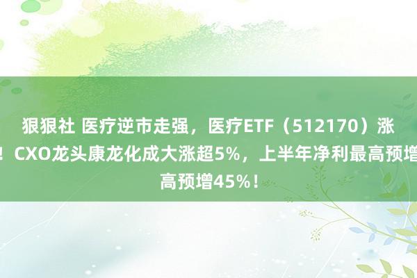 狠狠社 医疗逆市走强，医疗ETF（512170）涨超1%！CXO龙头康龙化成大涨超5%，上半年净利最高预增45%！