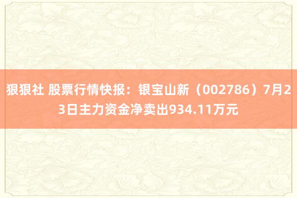 狠狠社 股票行情快报：银宝山新（002786）7月23日主力资金净卖出934.11万元