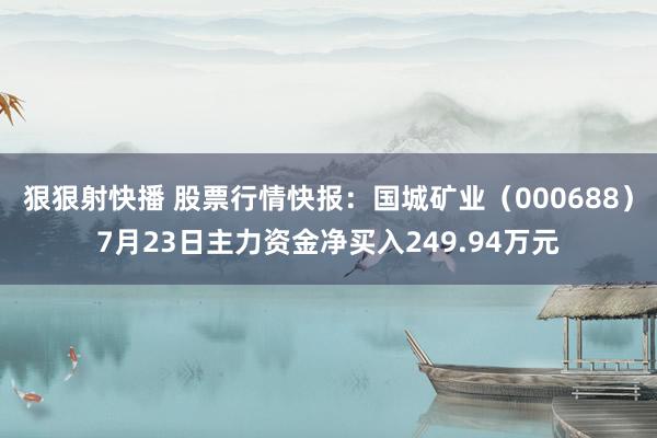 狠狠射快播 股票行情快报：国城矿业（000688）7月23日主力资金净买入249.94万元