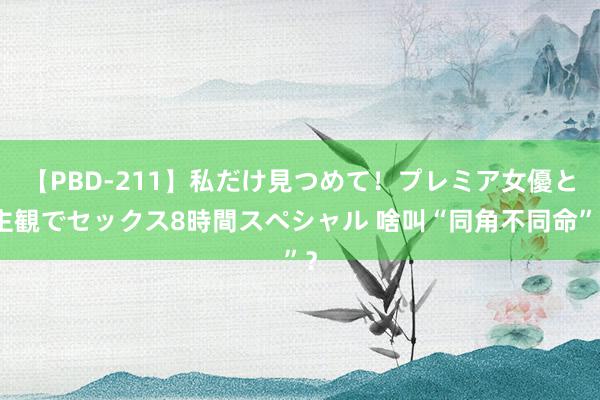 【PBD-211】私だけ見つめて！プレミア女優と主観でセックス8時間スペシャル 啥叫“同角不同命”？