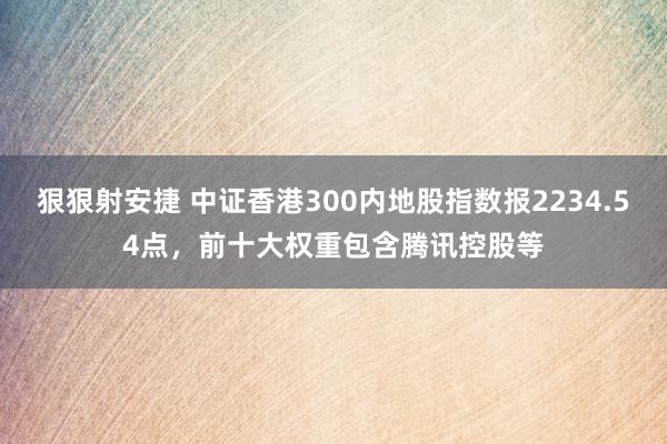 狠狠射安捷 中证香港300内地股指数报2234.54点，前十大权重包含腾讯控股等