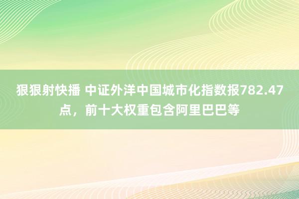 狠狠射快播 中证外洋中国城市化指数报782.47点，前十大权重包含阿里巴巴等