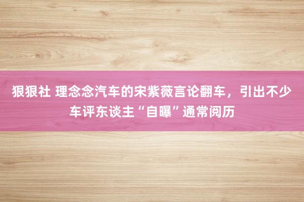 狠狠社 理念念汽车的宋紫薇言论翻车，引出不少车评东谈主“自曝”通常阅历