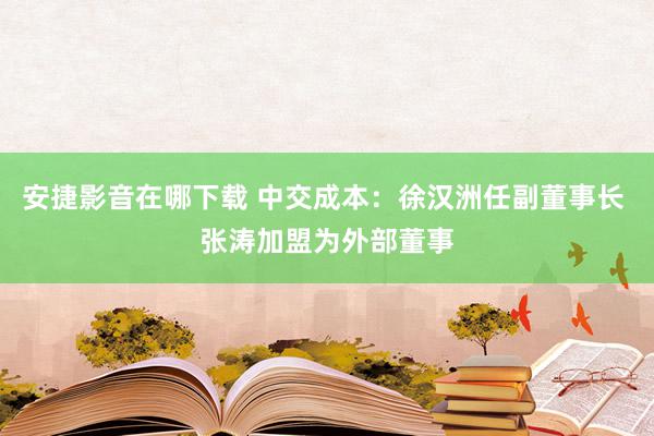 安捷影音在哪下载 中交成本：徐汉洲任副董事长 张涛加盟为外部董事