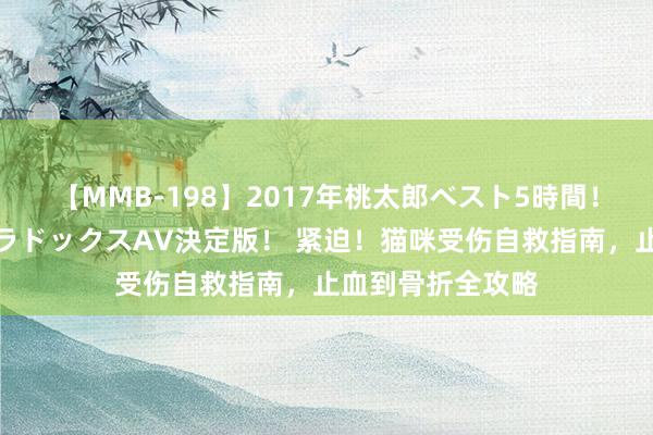 【MMB-198】2017年桃太郎ベスト5時間！これが見納めパラドックスAV決定版！ 紧迫！猫咪受伤自救指南，止血到骨折全攻略