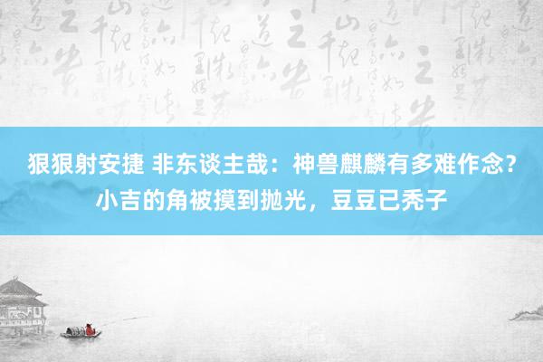 狠狠射安捷 非东谈主哉：神兽麒麟有多难作念？小吉的角被摸到抛光，豆豆已秃子