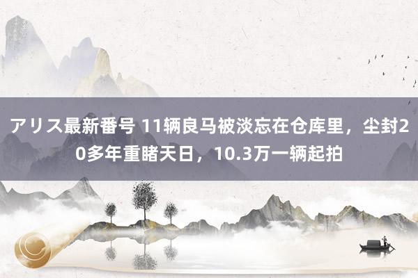 アリス最新番号 11辆良马被淡忘在仓库里，尘封20多年重睹天日，10.3万一辆起拍