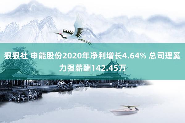 狠狠社 申能股份2020年净利增长4.64% 总司理奚力强薪酬142.45万