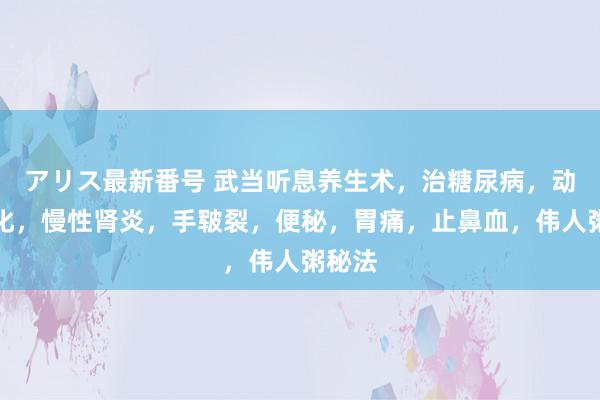 アリス最新番号 武当听息养生术，治糖尿病，动脉硬化，慢性肾炎，手皲裂，便秘，胃痛，止鼻血，伟人粥秘法