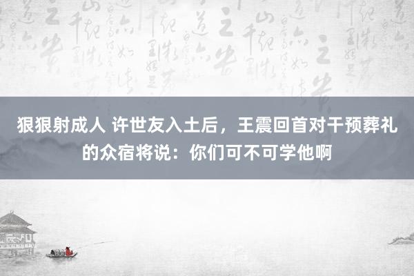 狠狠射成人 许世友入土后，王震回首对干预葬礼的众宿将说：你们可不可学他啊