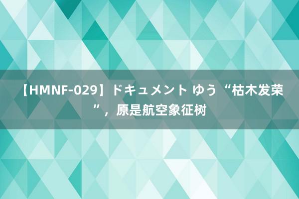 【HMNF-029】ドキュメント ゆう “枯木发荣”，原是航空象征树