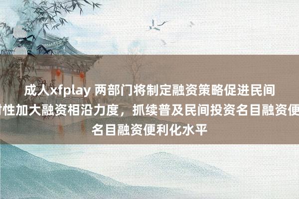 成人xfplay 两部门将制定融资策略促进民间投资 针对性加大融资相沿力度，抓续普及民间投资名目融资便利化水平