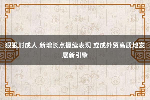 狠狠射成人 新增长点握续表现 或成外贸高质地发展新引擎