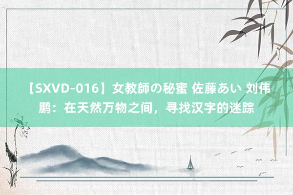 【SXVD-016】女教師の秘蜜 佐藤あい 刘伟鹏：在天然万物之间，寻找汉字的迷踪