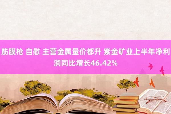 筋膜枪 自慰 主营金属量价都升 紫金矿业上半年净利润同比增长46.42%