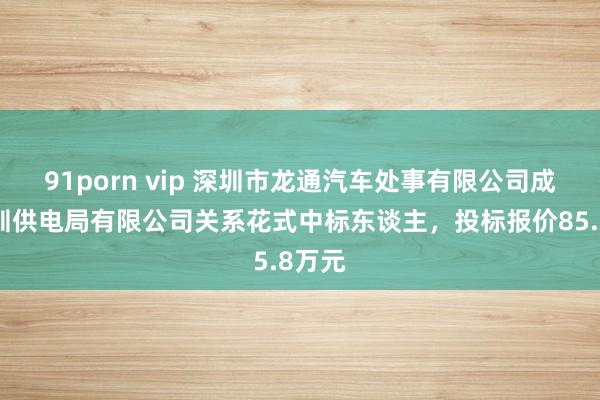 91porn vip 深圳市龙通汽车处事有限公司成为深圳供电局有限公司关系花式中标东谈主，投标报价85.8万元