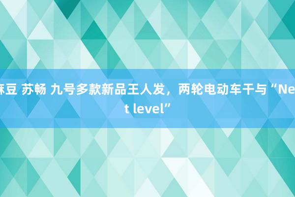 麻豆 苏畅 九号多款新品王人发，两轮电动车干与“Next level”