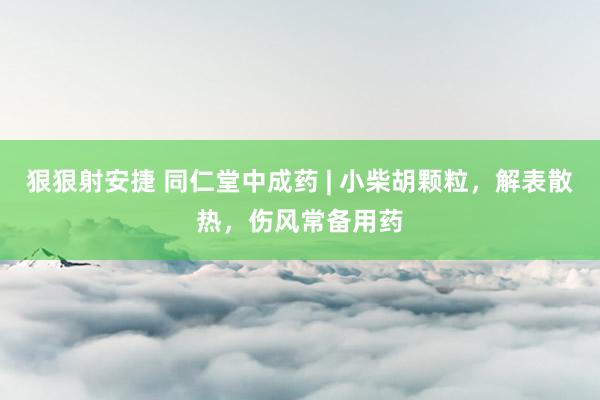 狠狠射安捷 同仁堂中成药 | 小柴胡颗粒，解表散热，伤风常备用药